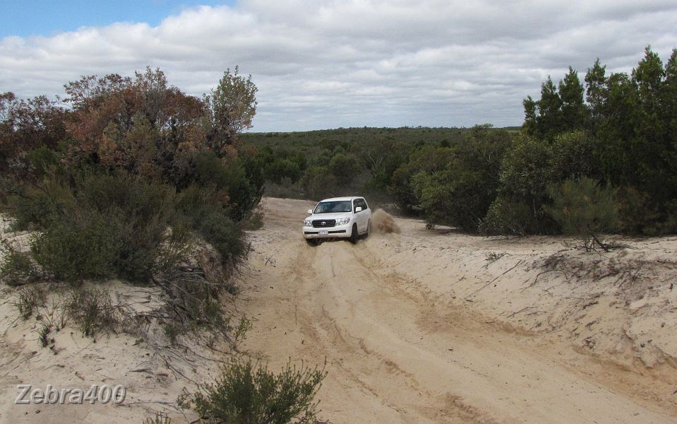 09-Demon climbs a Wyperfeld sand dune.JPG